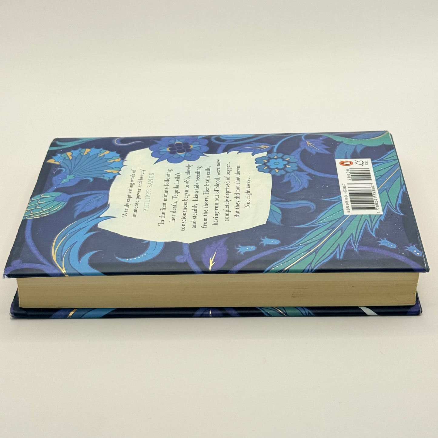10 Minutes 38 Seconds in This Strange World by Elif Shafak