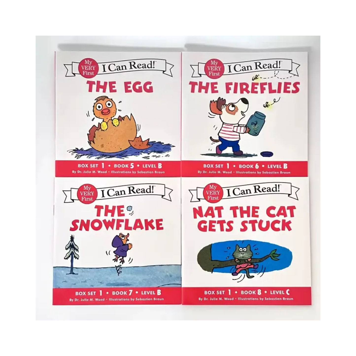 12x Big Pig Mini Phonics Books