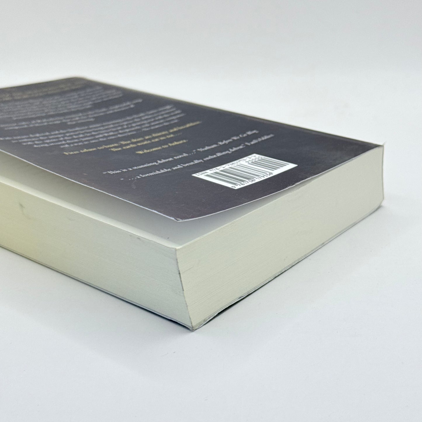 A Memory of Song by Scott Palmer