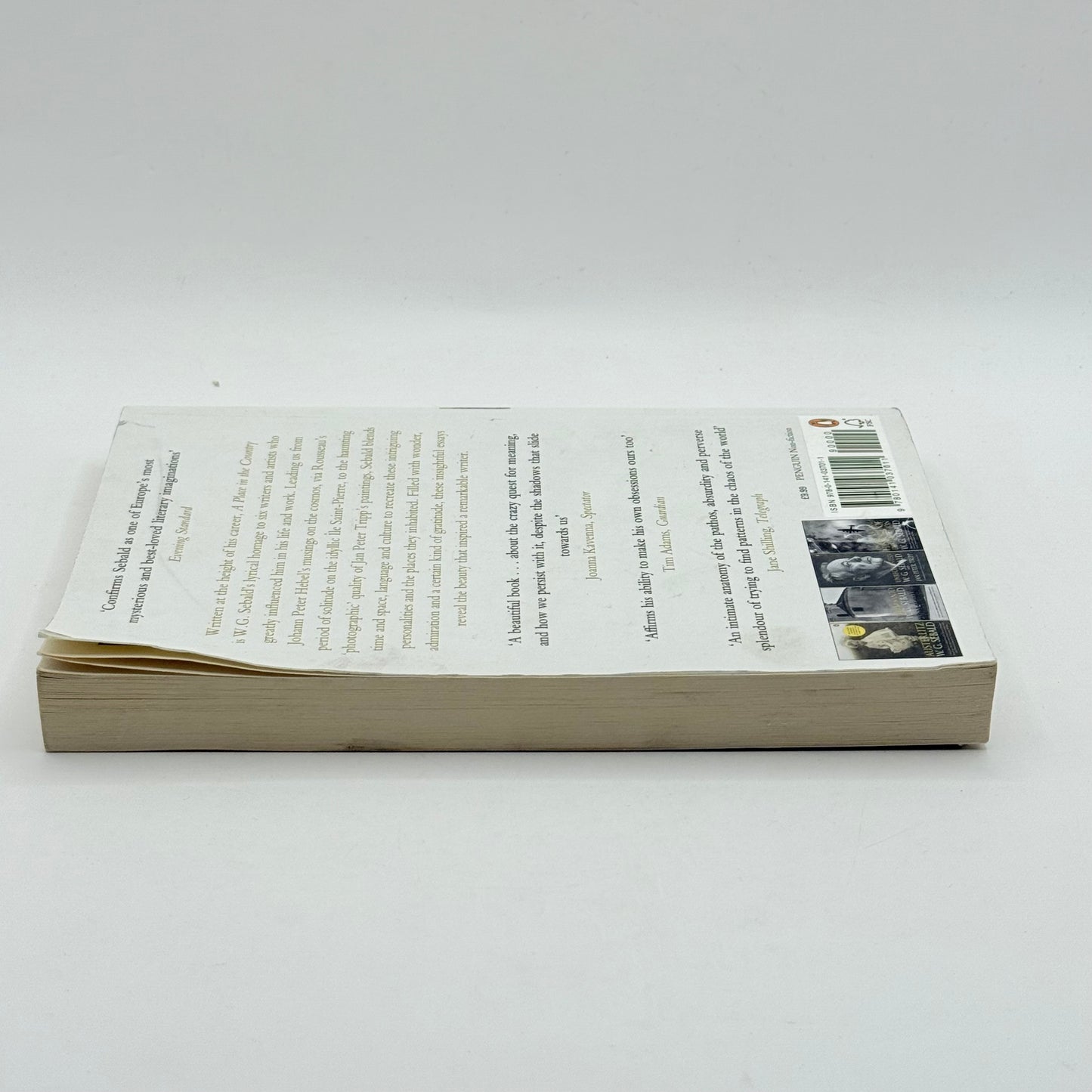 A Place in the Country by W.G. Sebald , Jo Catling