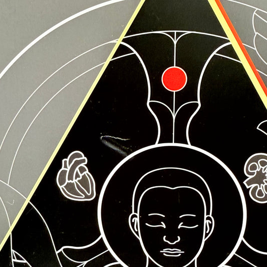 Basic Assessment & Support in Intensive Care