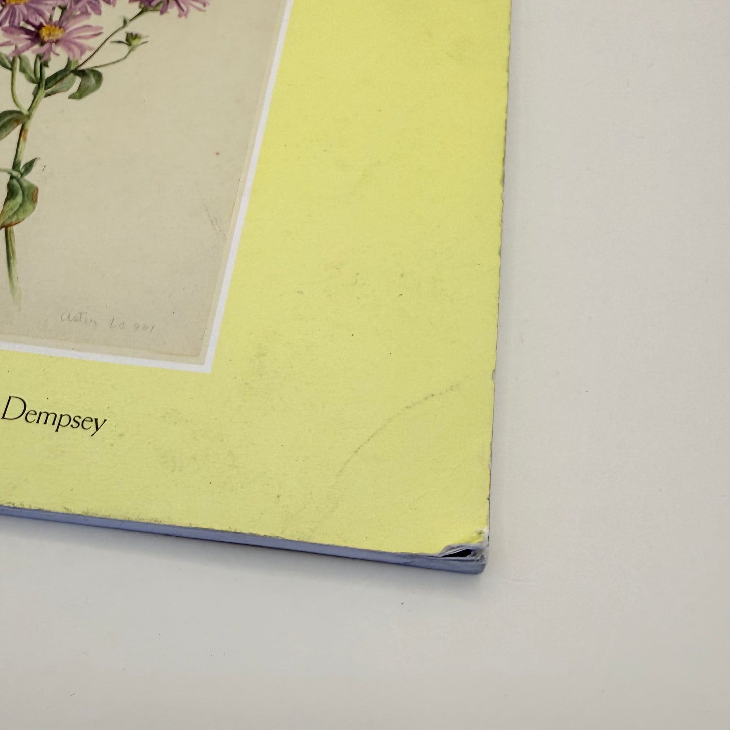 Bessie downes flowers of the southport coast by jemma tynan & john dempsey - print books condition: used printed media