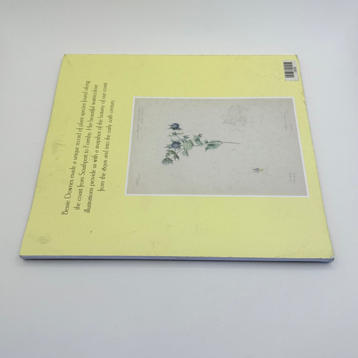 Bessie downes flowers of the southport coast by jemma tynan & john dempsey - print books condition: used printed media