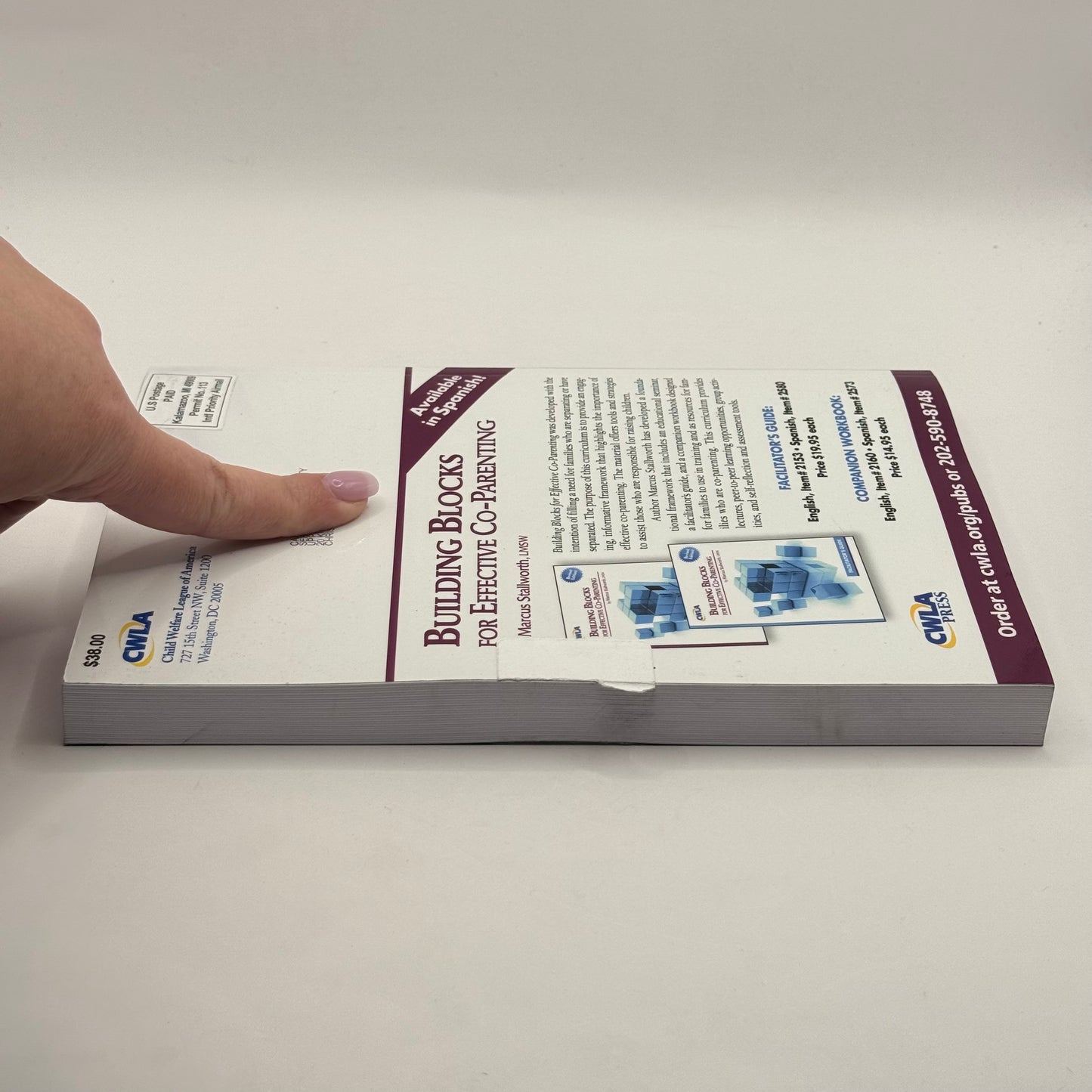 Child Welfare Journal Fathers and Child Welfare by Waldo E. Johnson, Jr. and Harold E. Briggs