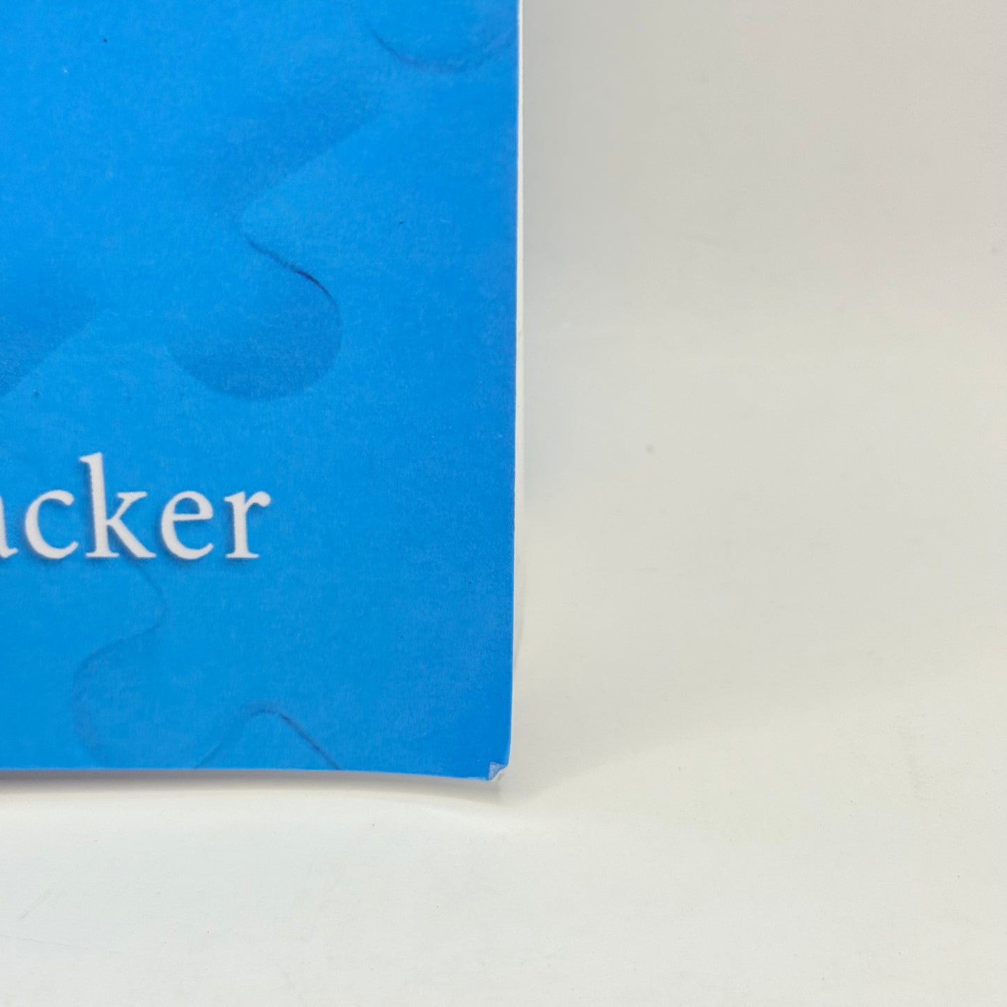Cognitive Grammar: A Basic Introduction by Ronald W. Langacker