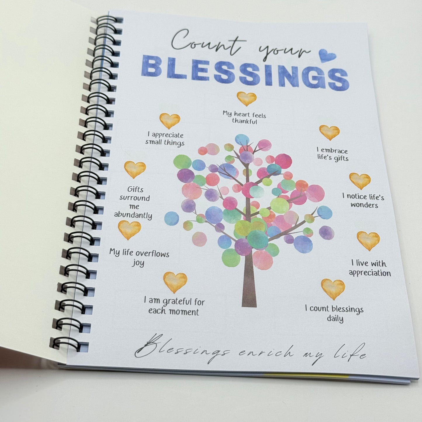Counsellor Cronin's Daily Gratitude Book