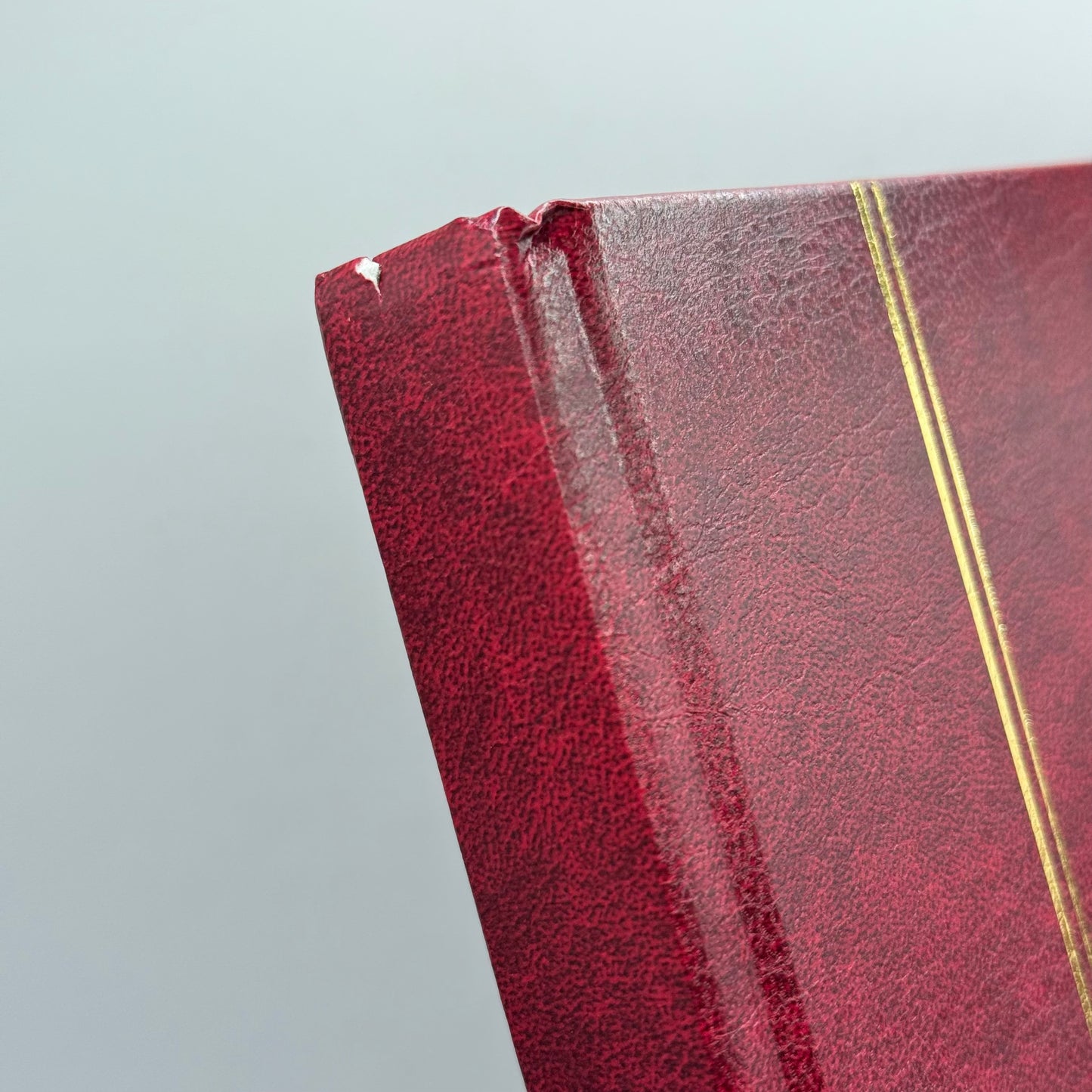 DAVO LUXE Stamp Stock Book Red
