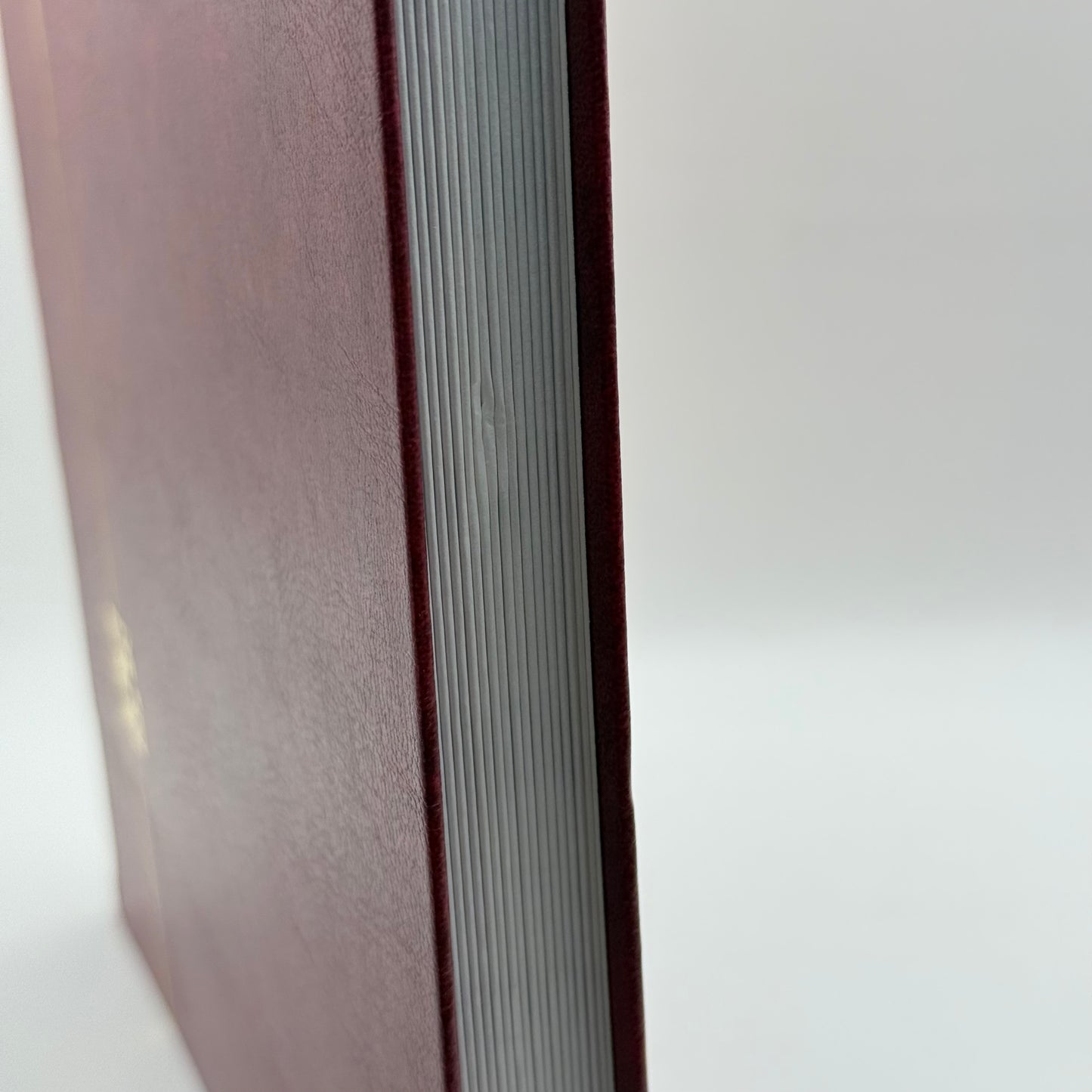 DAVO LUXE Stamp Stock Book Red