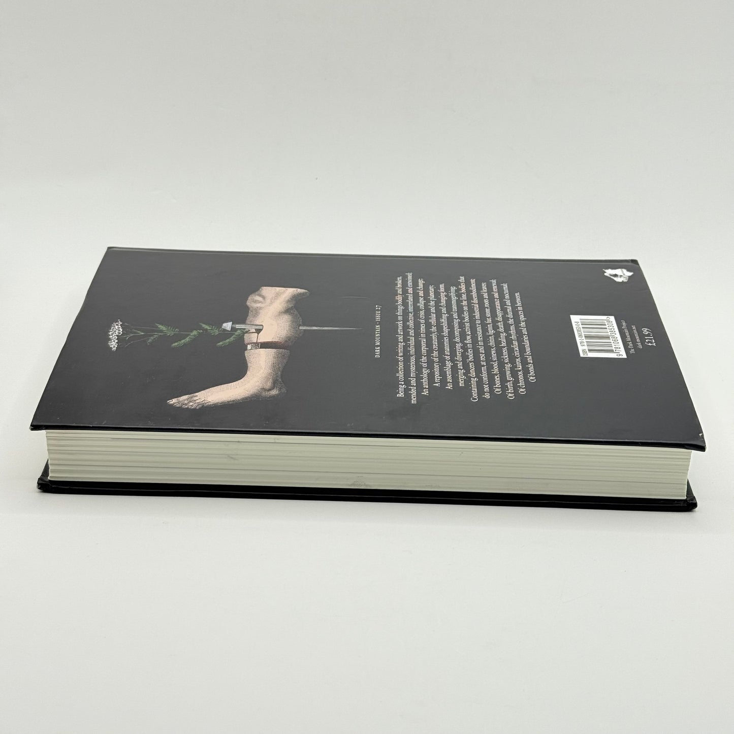 Dark Mountain Issue 27
