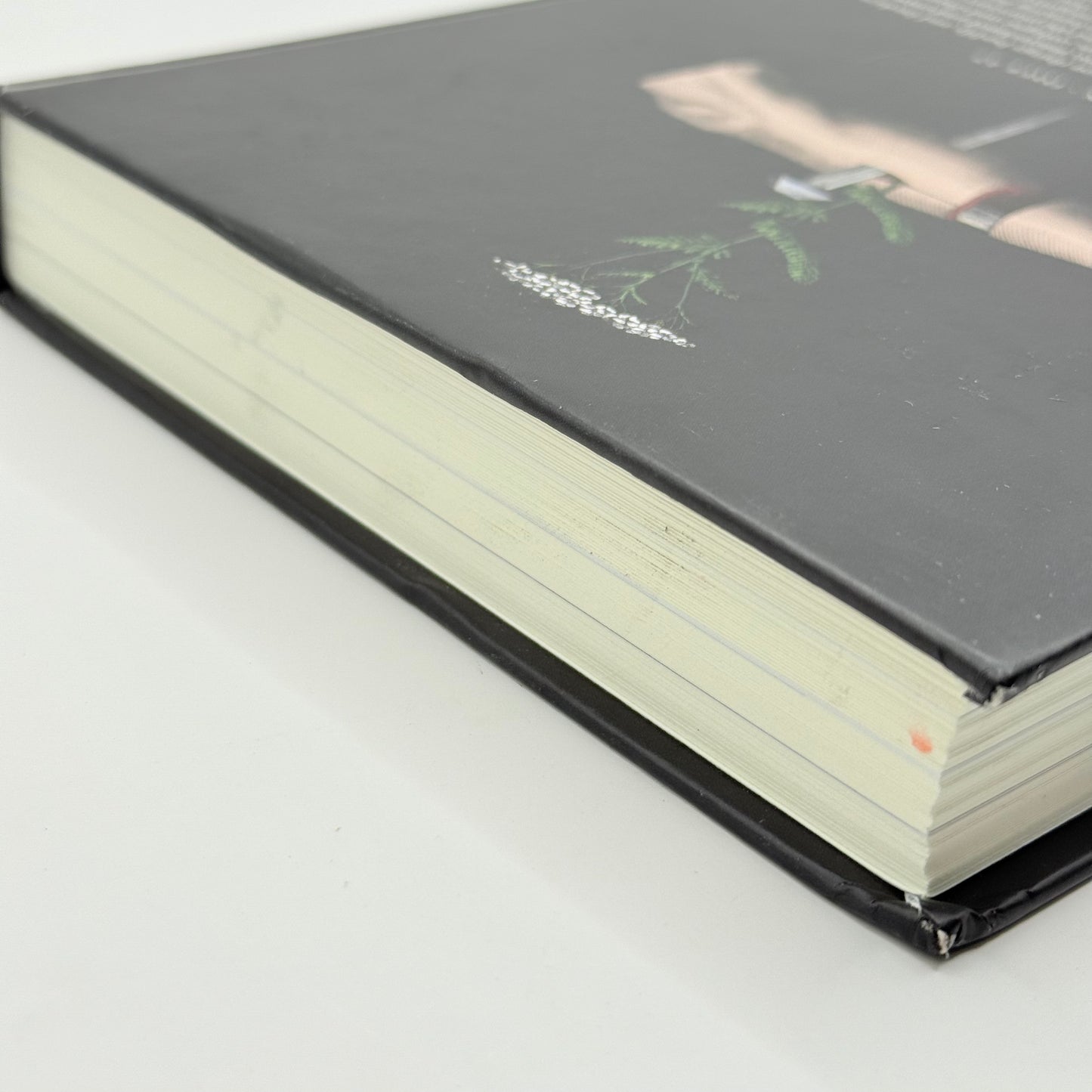 Dark Mountain Issue 27