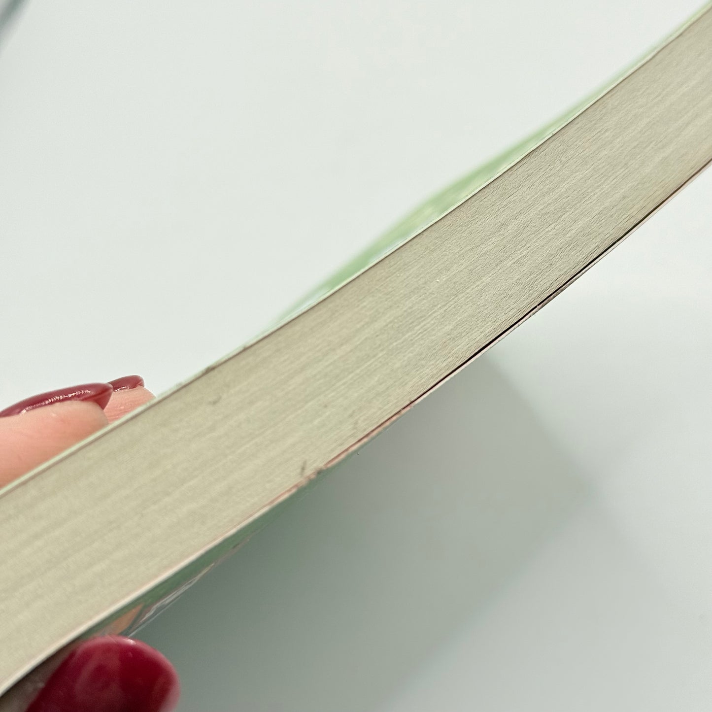 Diary of a Wimpy Kid The Last Straw by Jeff Kinney