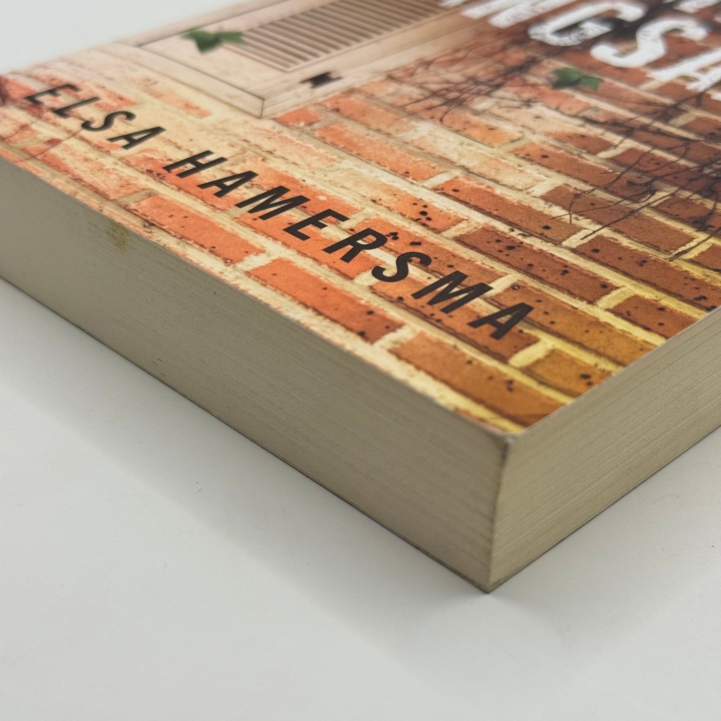 Die Mense Langsaan by Elsa Hamersma (In Afrikaans)