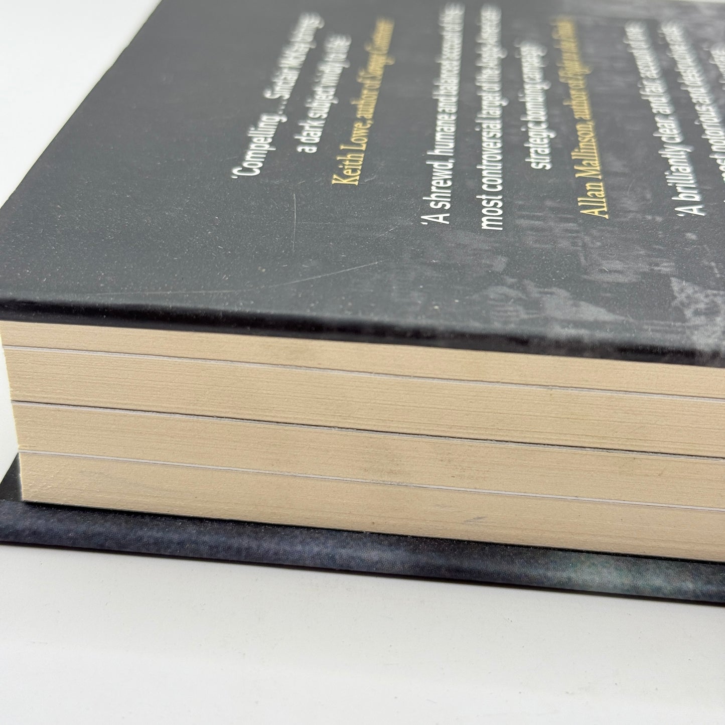 Dresden The Fire and the Darkness by Sinclair McKay