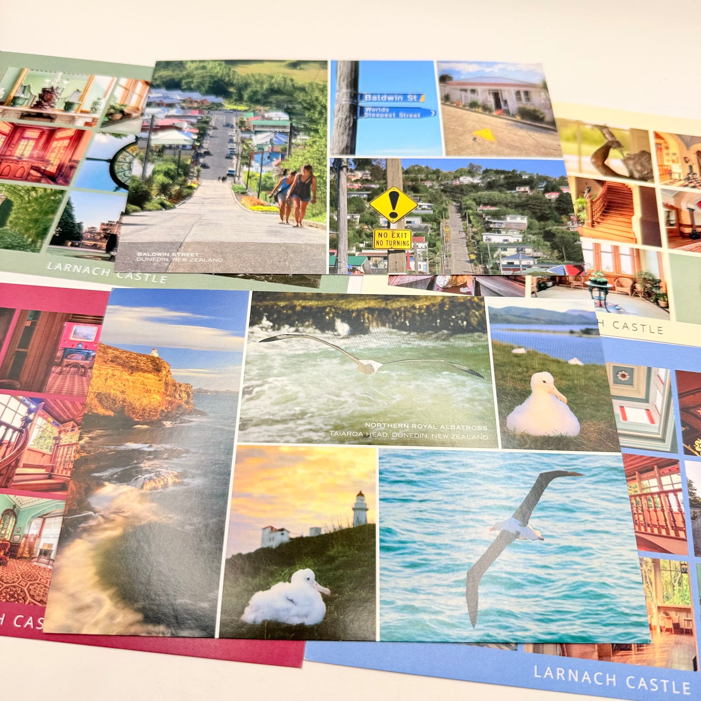 Dunedin new zealand postcard set - vintage advertisements original photo - whatâs new seasonal & holidays decorations