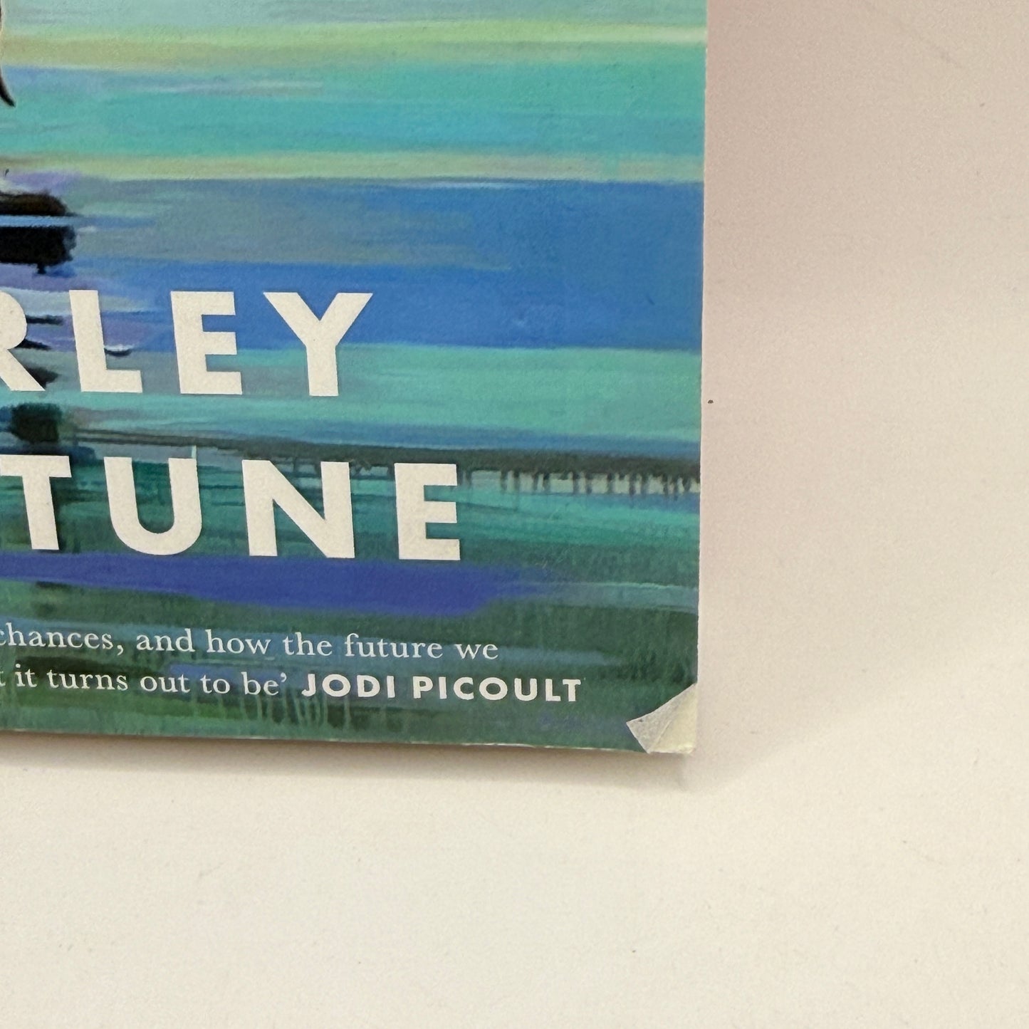 Every Summer After by Carley Fortune