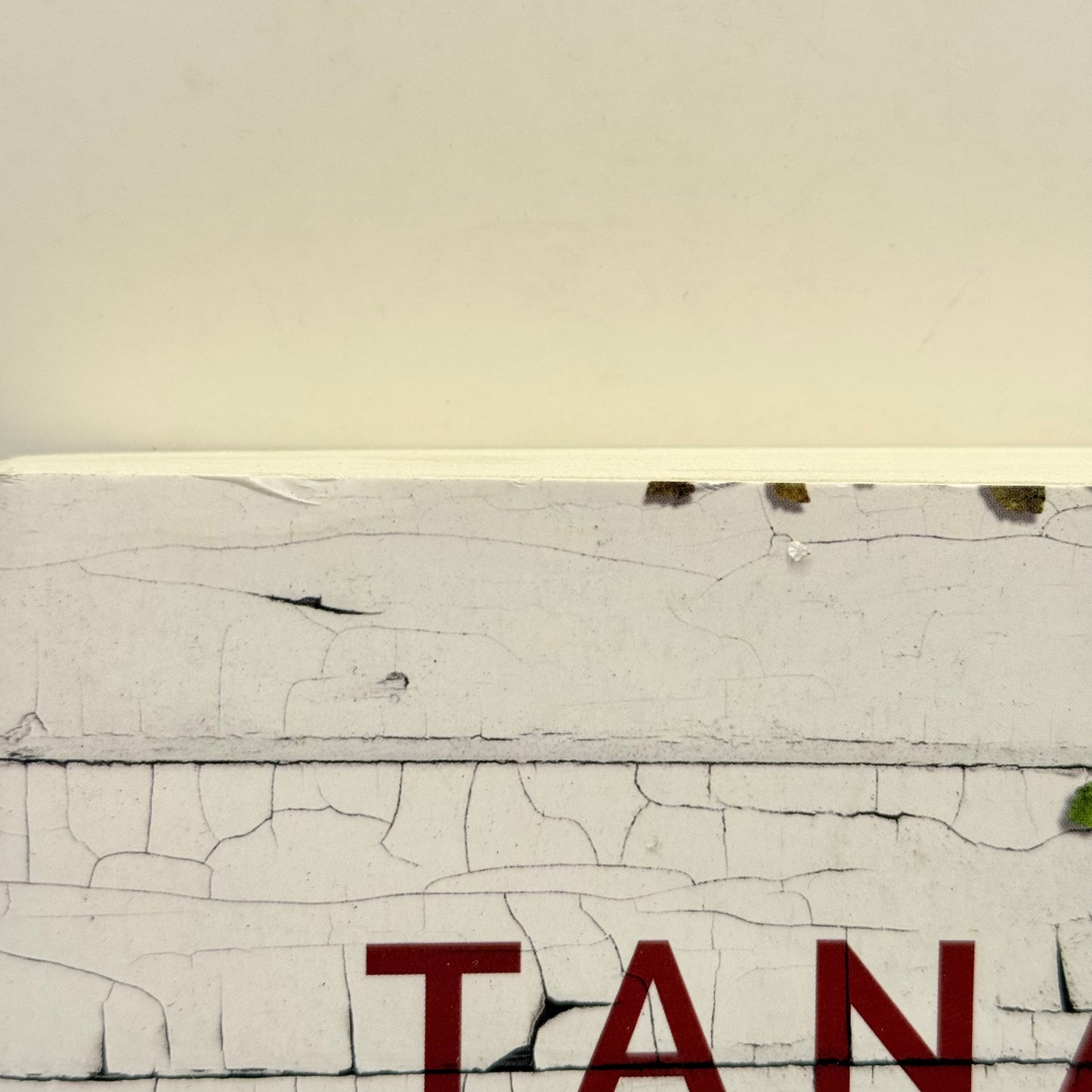Faithful Place by Tana French