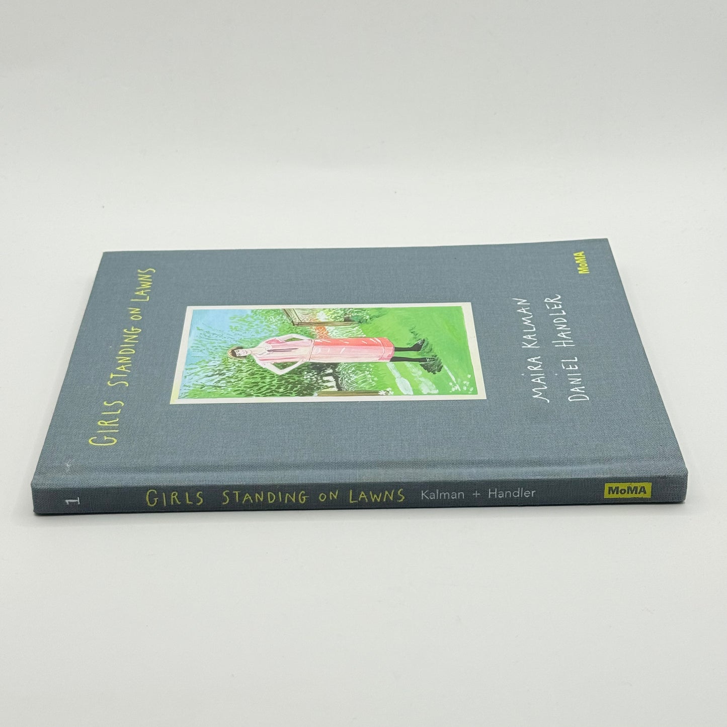 Girls Standing on Lawns by Maira Kalman and Daniel Handler