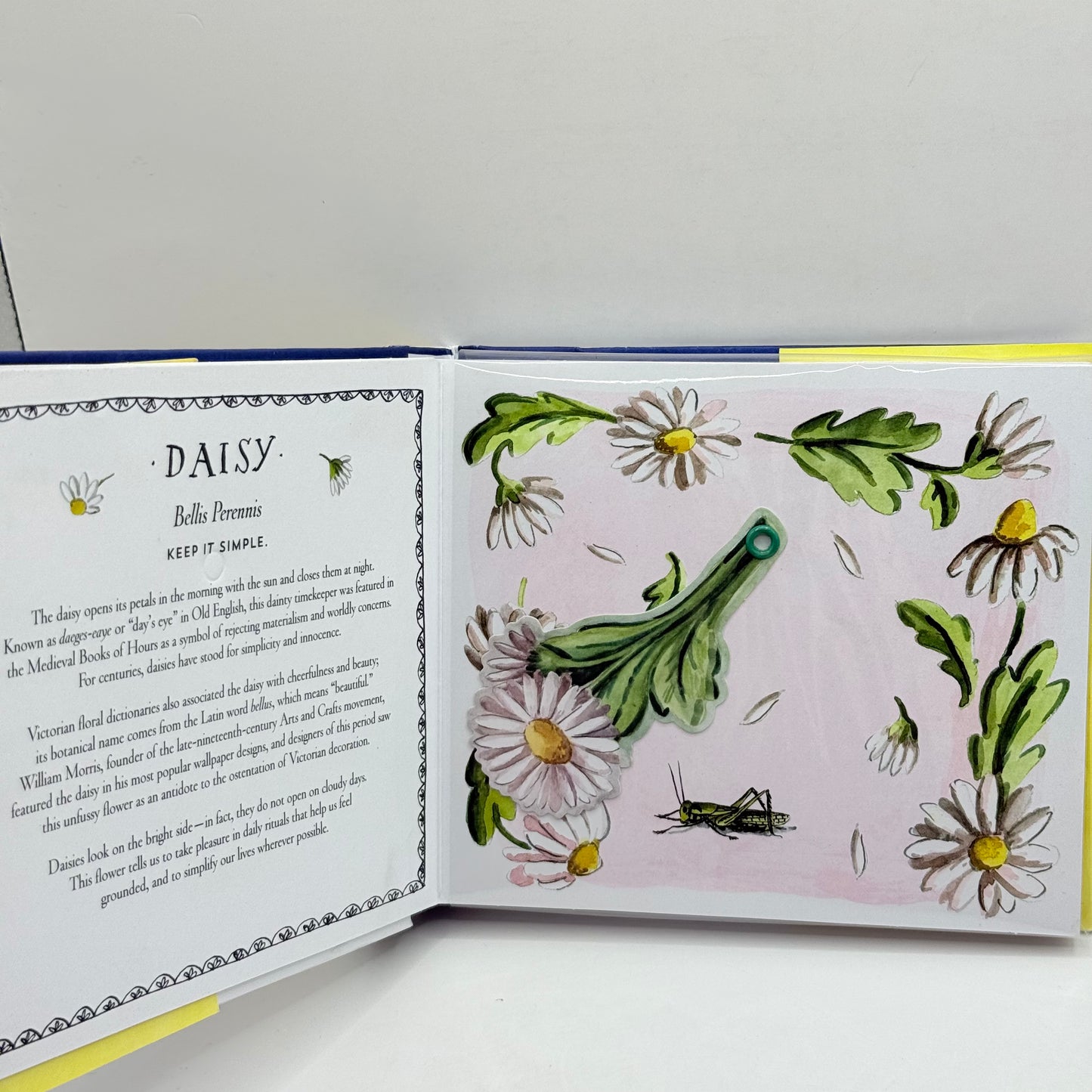 Happy Day by Molly Hatch (Bouquet in a Book)