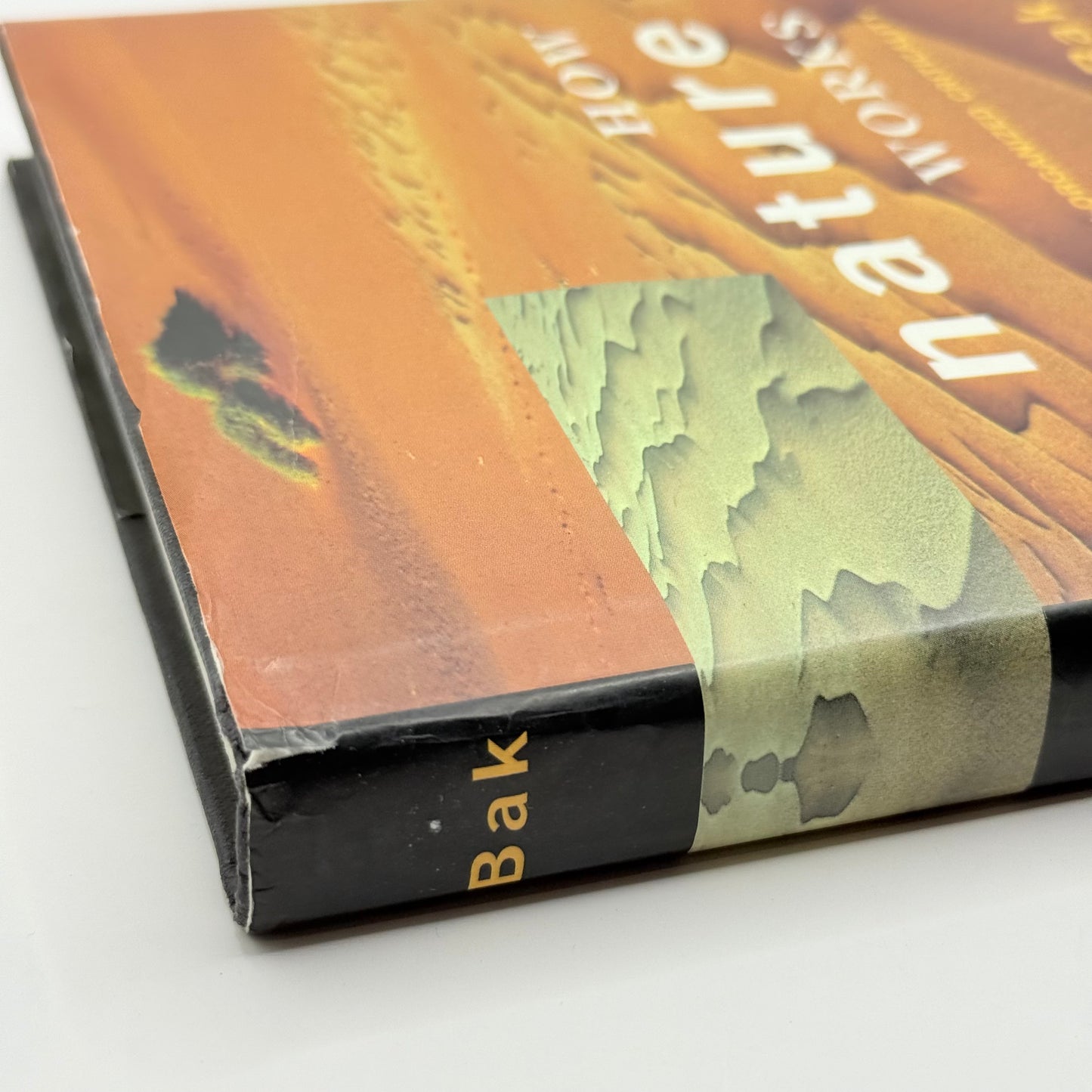 How Nature Works The Science of Self-Organized Criticality by Per Bak