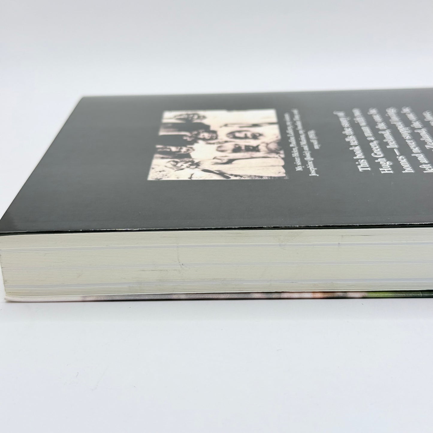 Hugh Green: The Story of an Irish Emigrant Who Never Left Home by Hugh Green