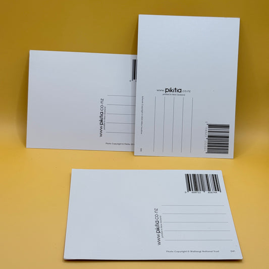 New Zealand Scenic & Cultural Postcards Set