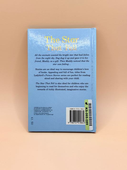 The Star That Fell by Karen Hayles
