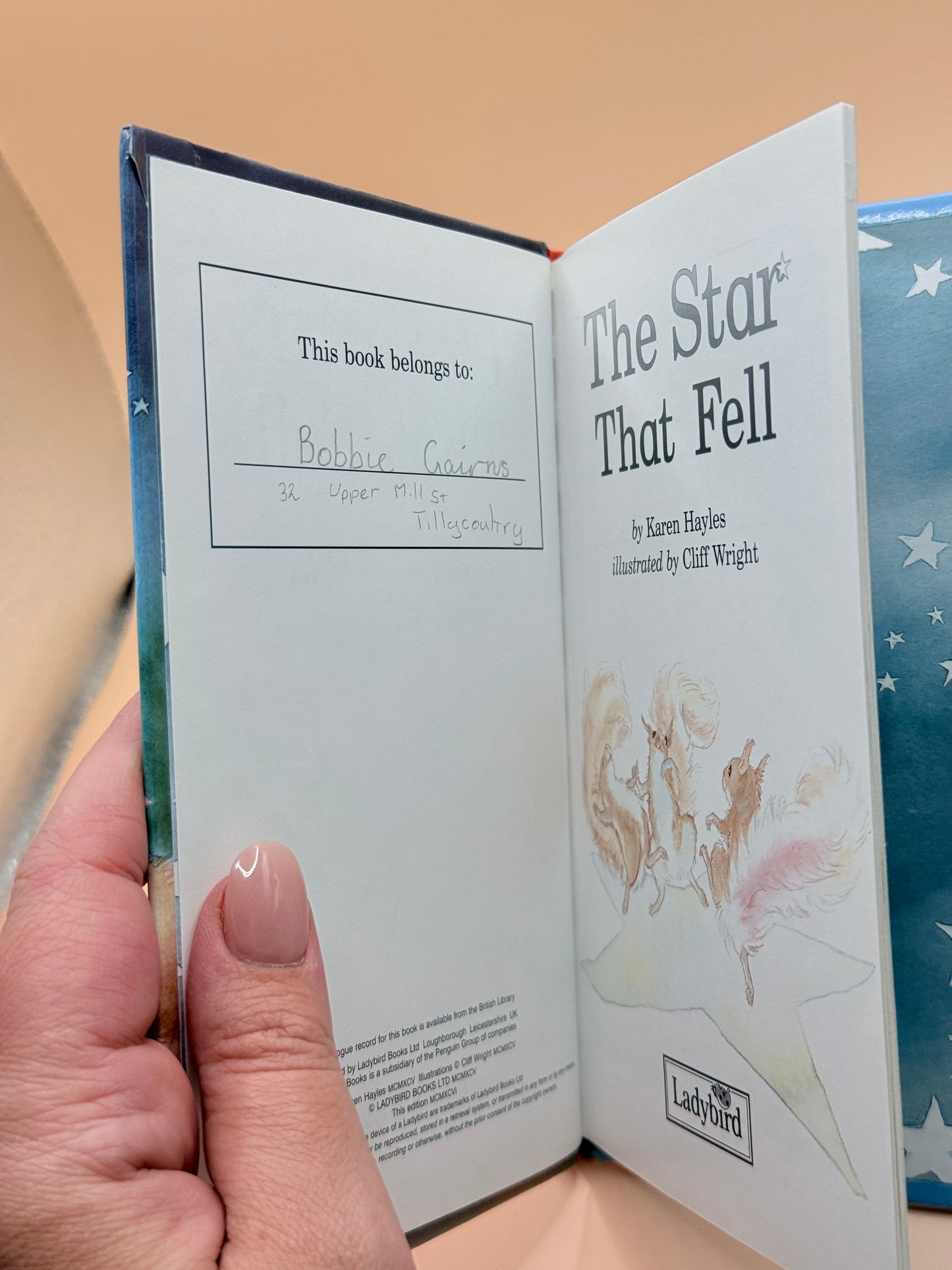 The Star That Fell by Karen Hayles