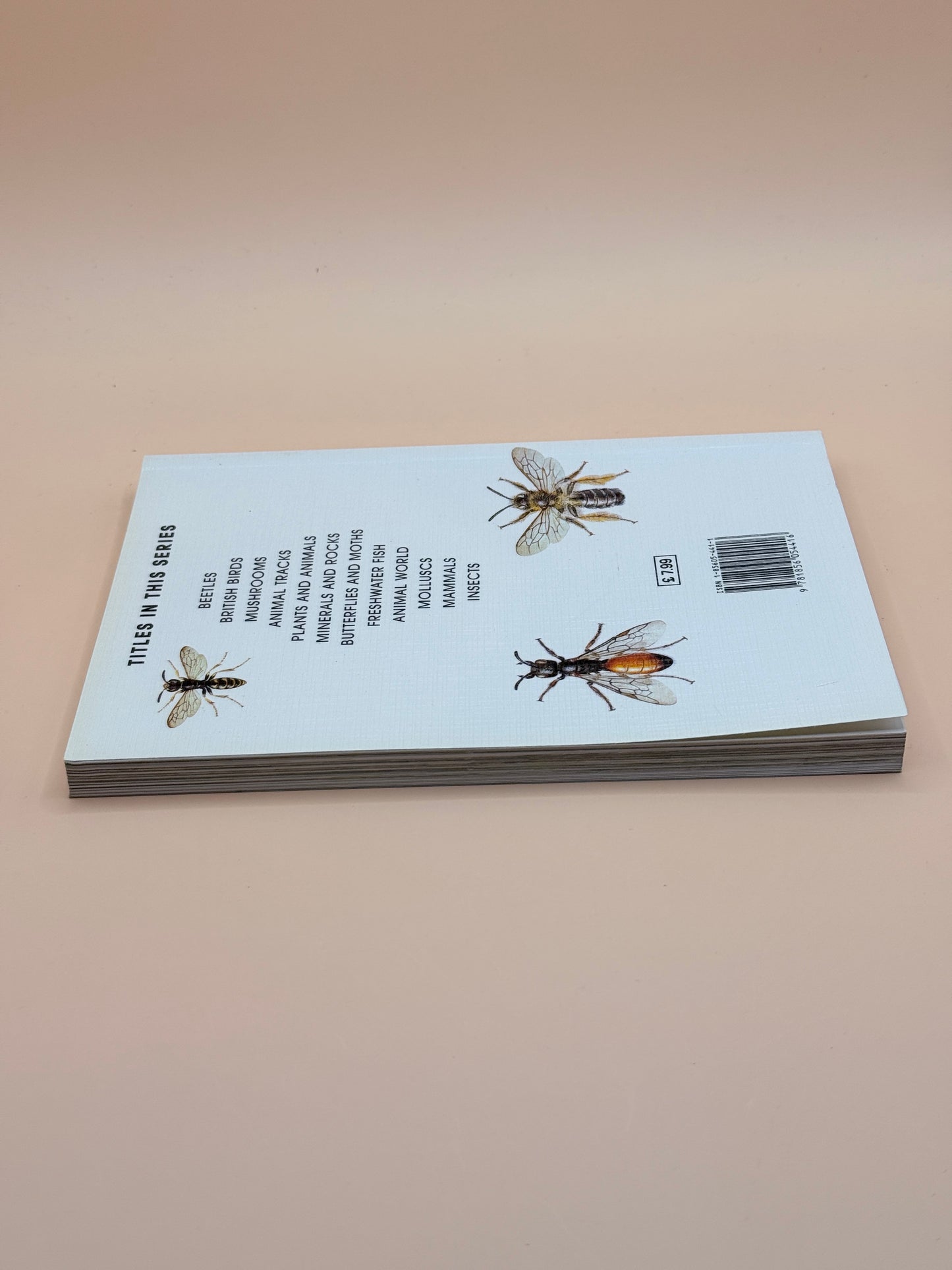 A Field Guide in Colour to Bees and Wasps