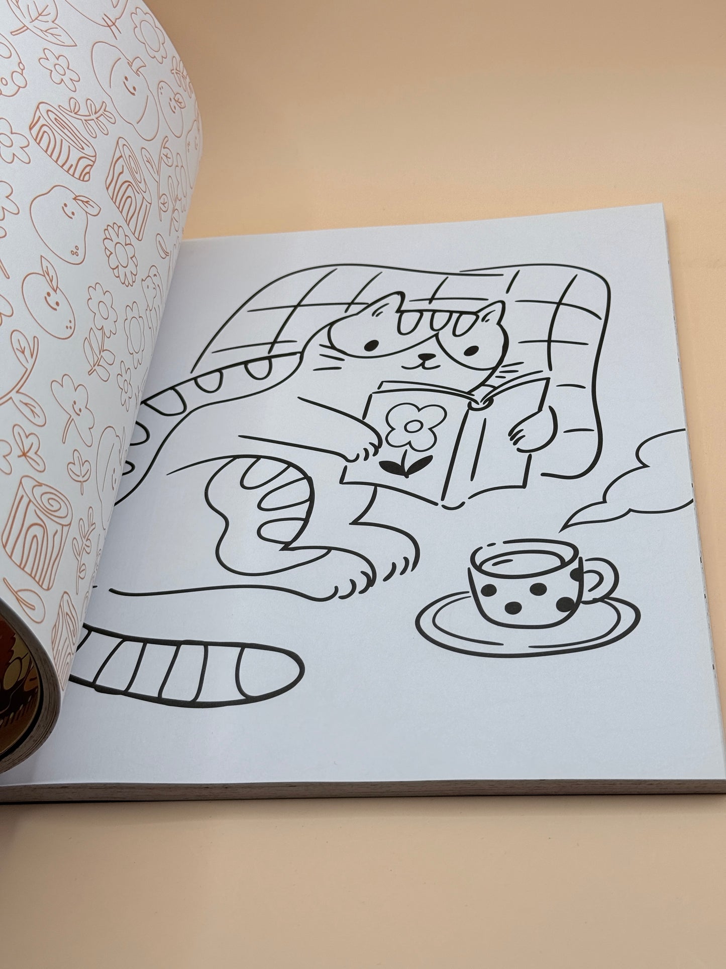 Cozycore Colouring Book