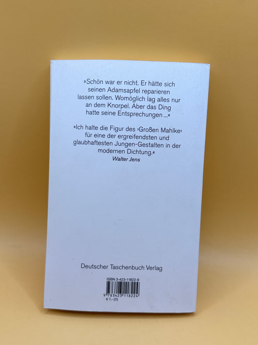 Katz und Maus by Günter Grass (German edition)
