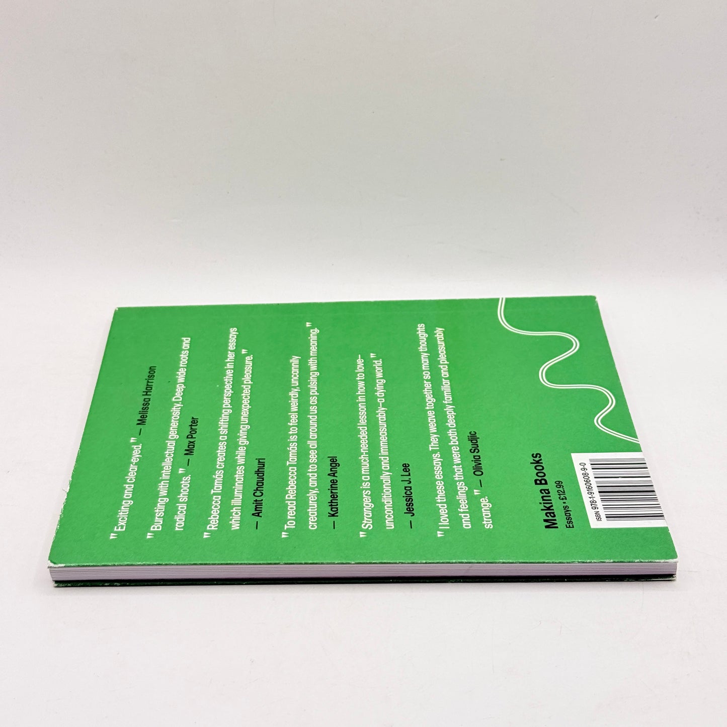 Strangers: Essays on the Human and Nonhuman by Rebecca Tamás