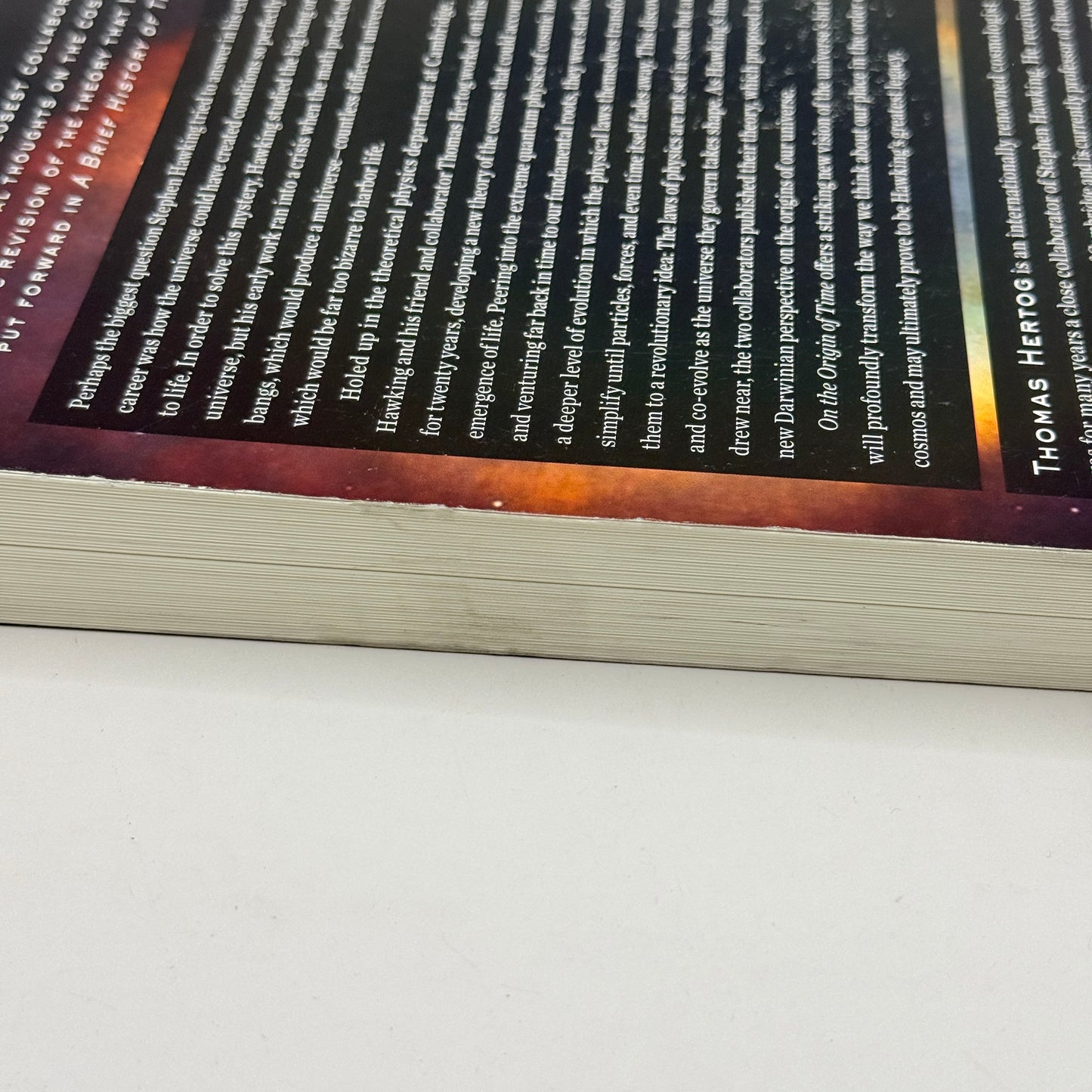 On the Origin of Time by Thomas Hertog