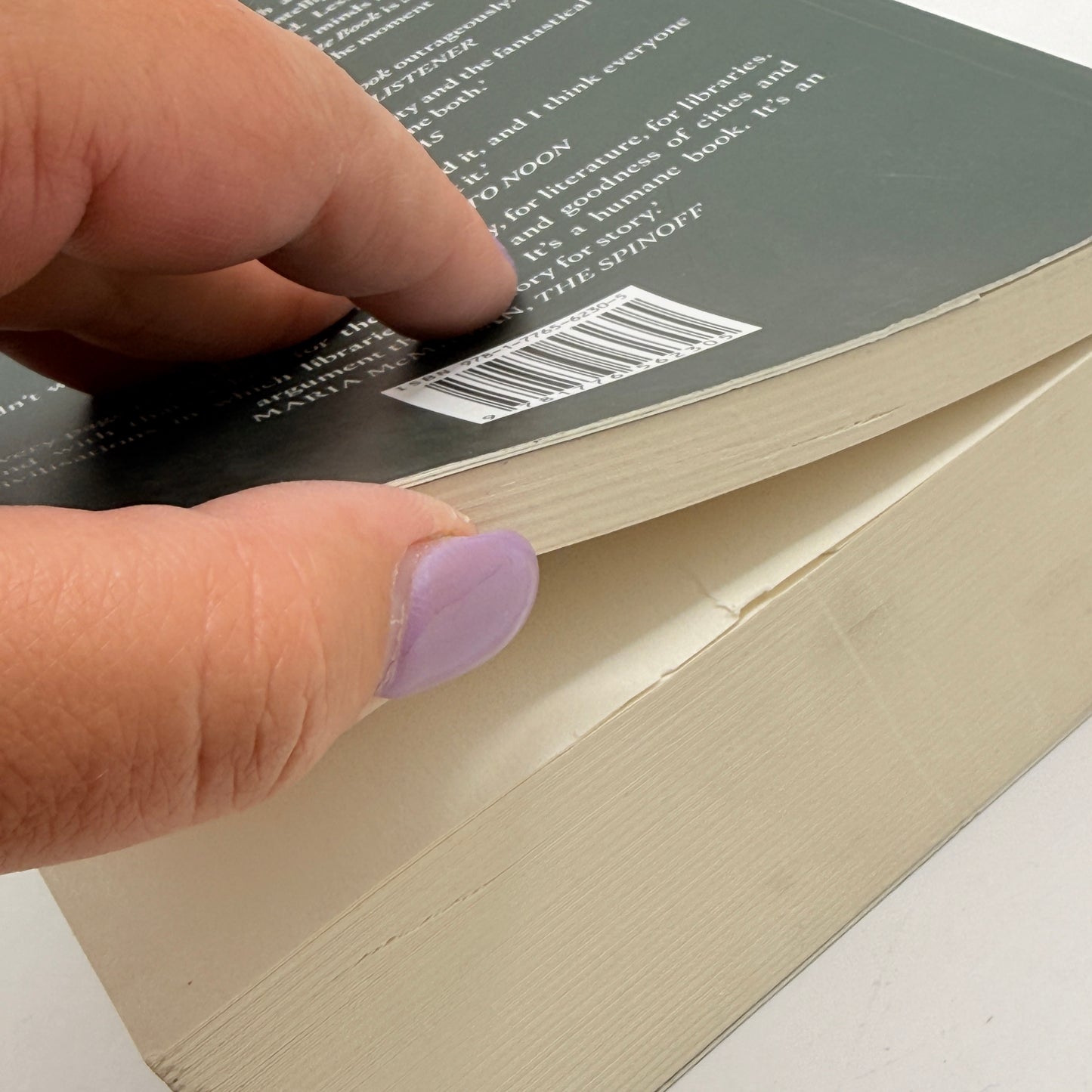 The Absolute Book by Elizabeth Knox