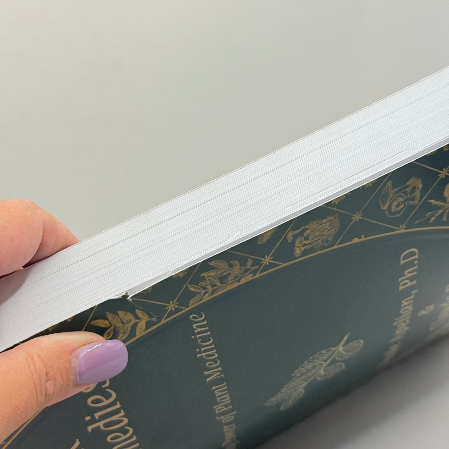 The Lost Book of Herbal Remedies by Nicole Apelian & Claude Davis