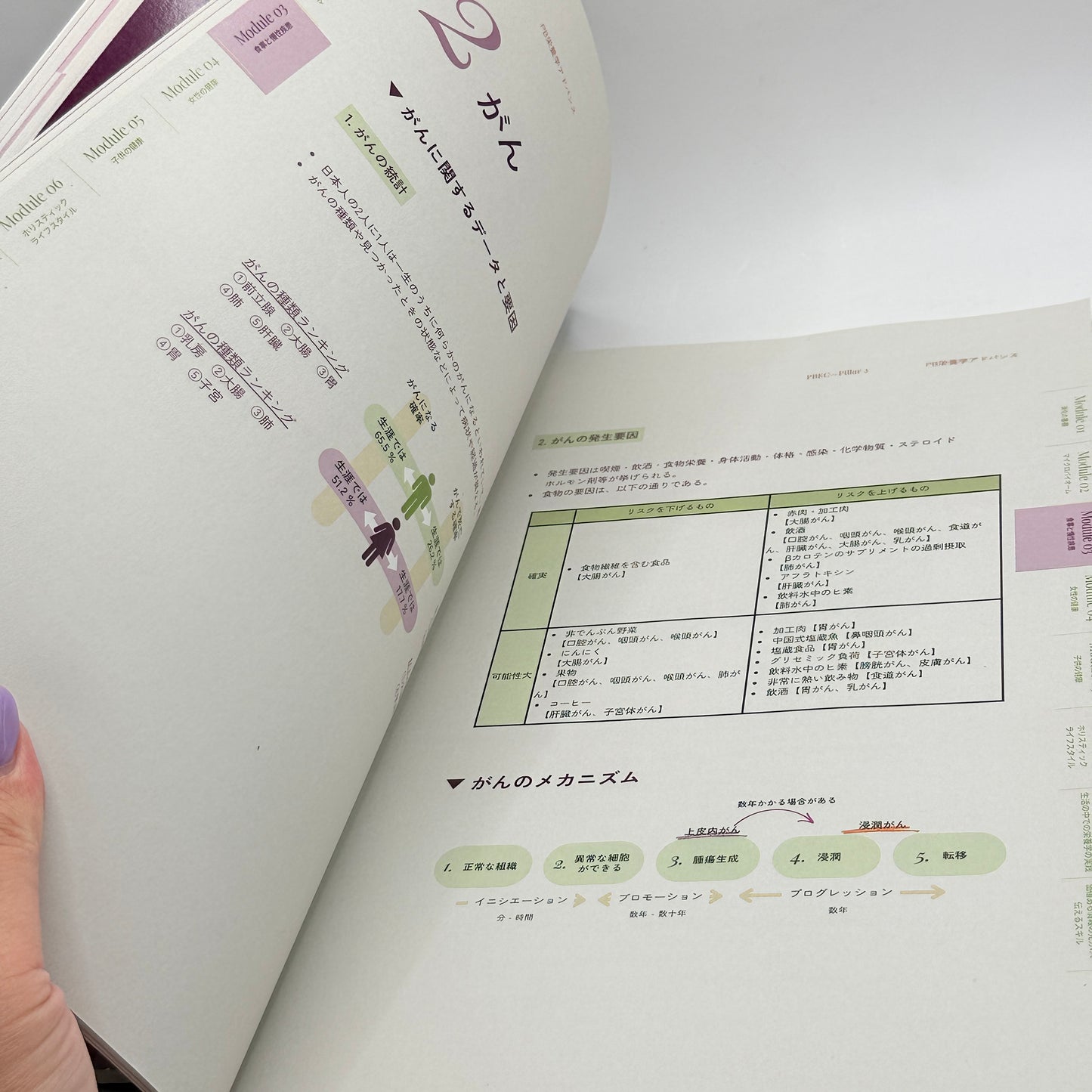 Plant-Based Expert Certification – Pillar 1 & Pillar 2 (Japanese Edition)