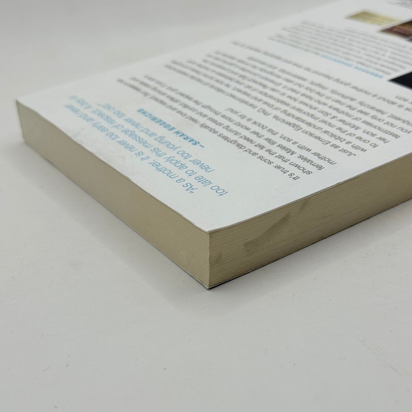 Mother and Son: The Respect Effect by Emerson Eggerichs