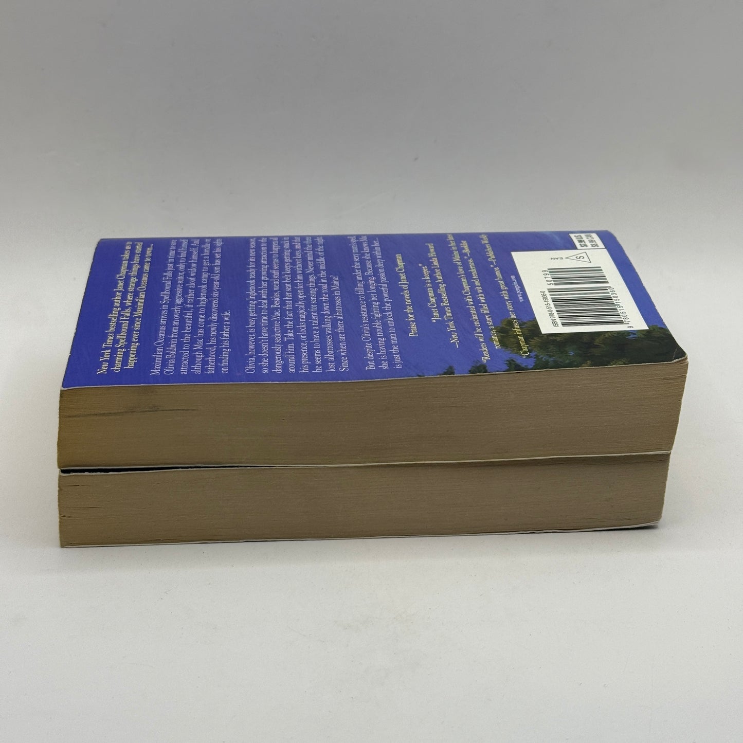 Charmed by His Love & Spellbound Falls by Janet Chapman (Set of 2)