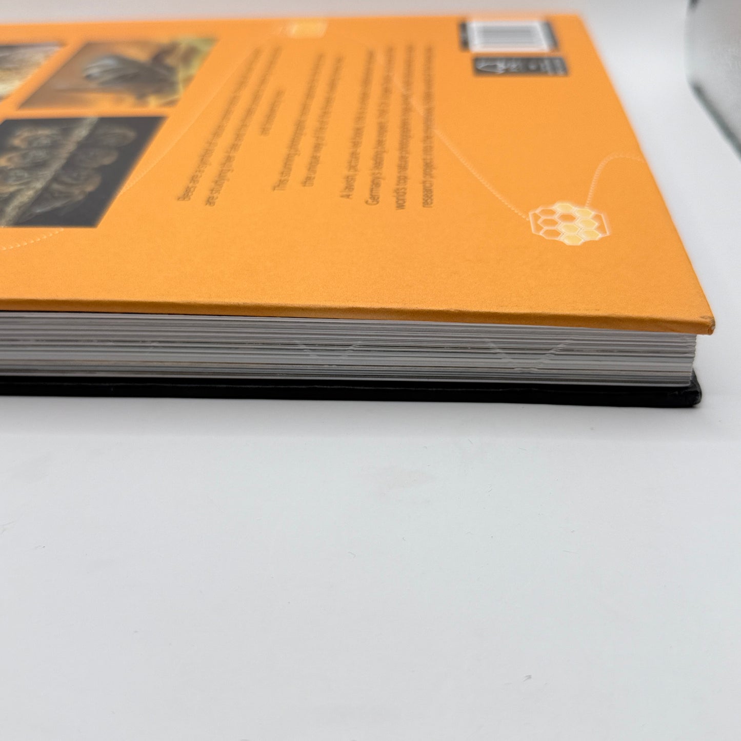 Honey Bees by Ingo Arndt and Jürgen Tautz