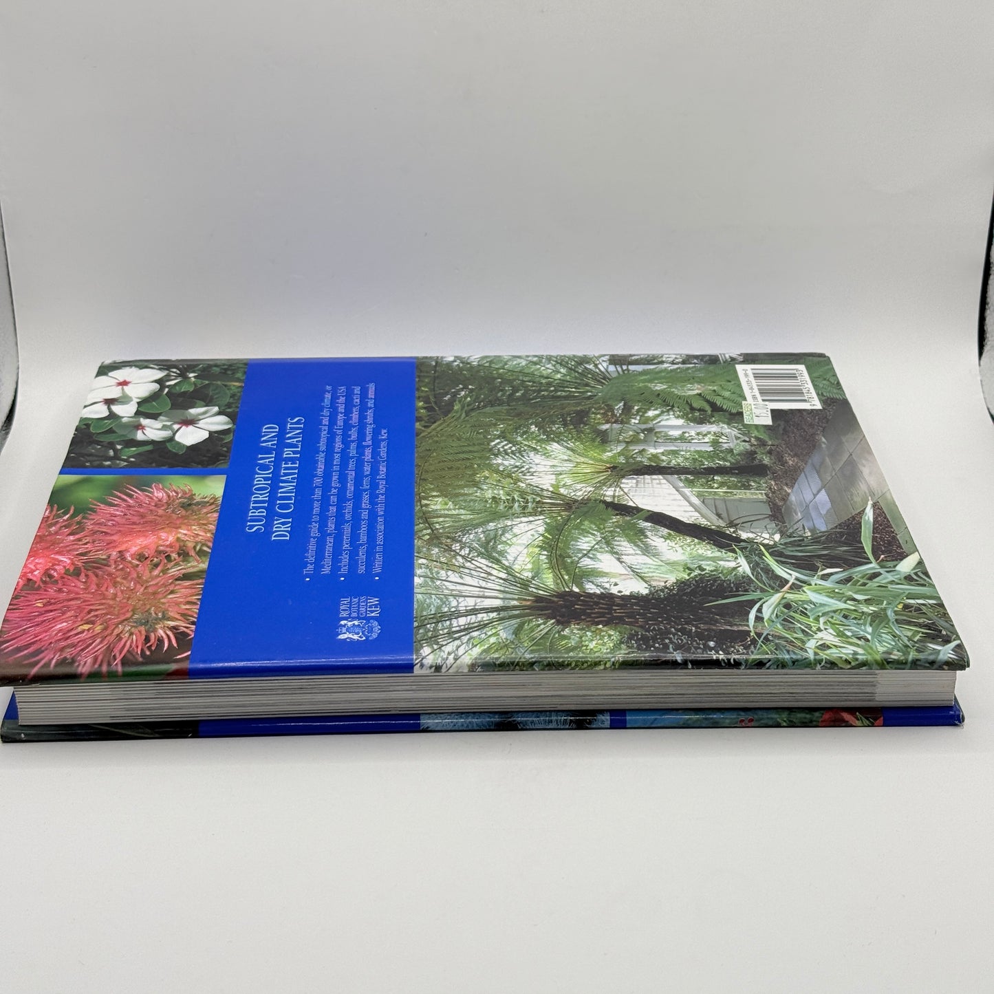 Subtropical and Dry Climate Plants: The Definitive Practical Guide by Martyn Rix