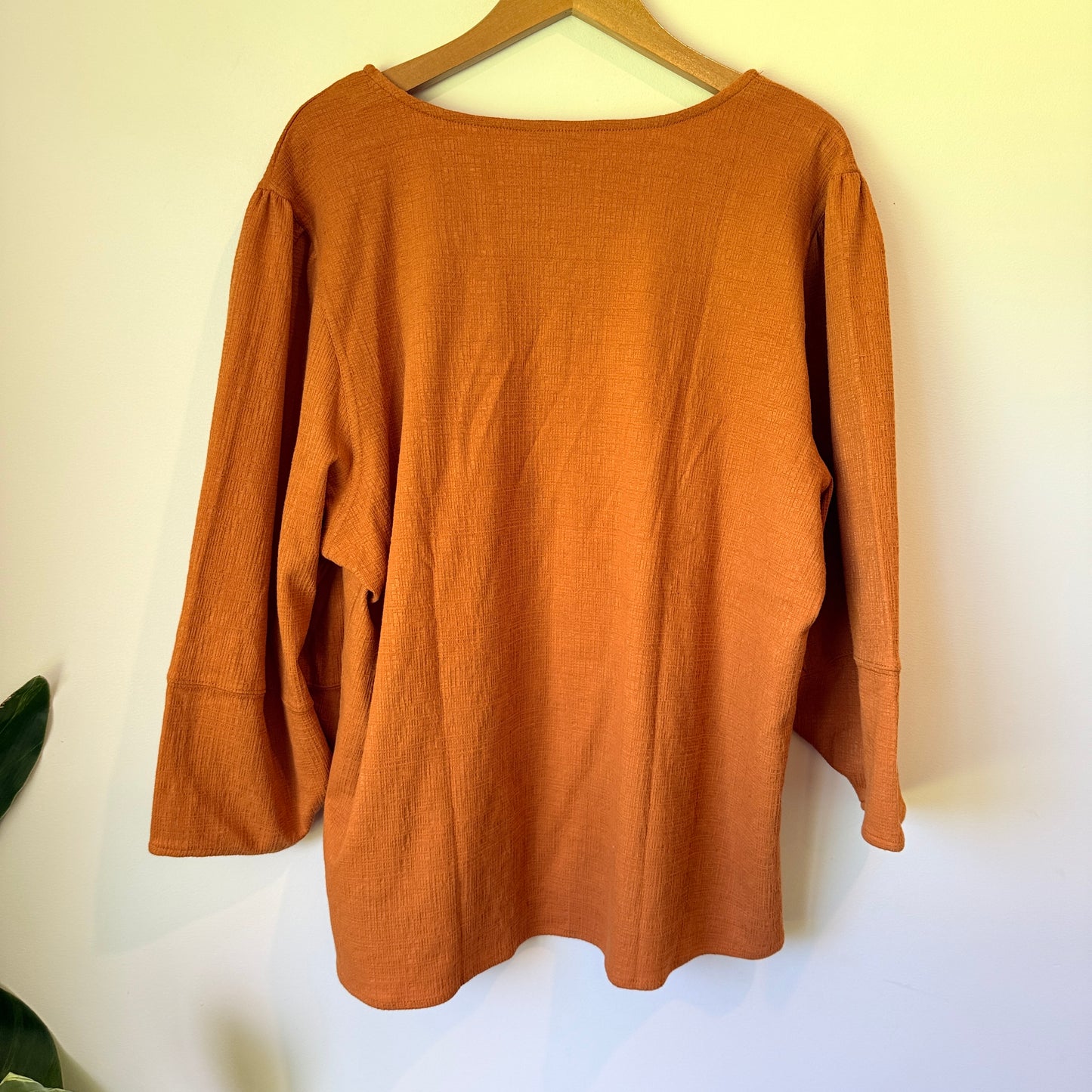 Emerge Amber Textured Top Size 20