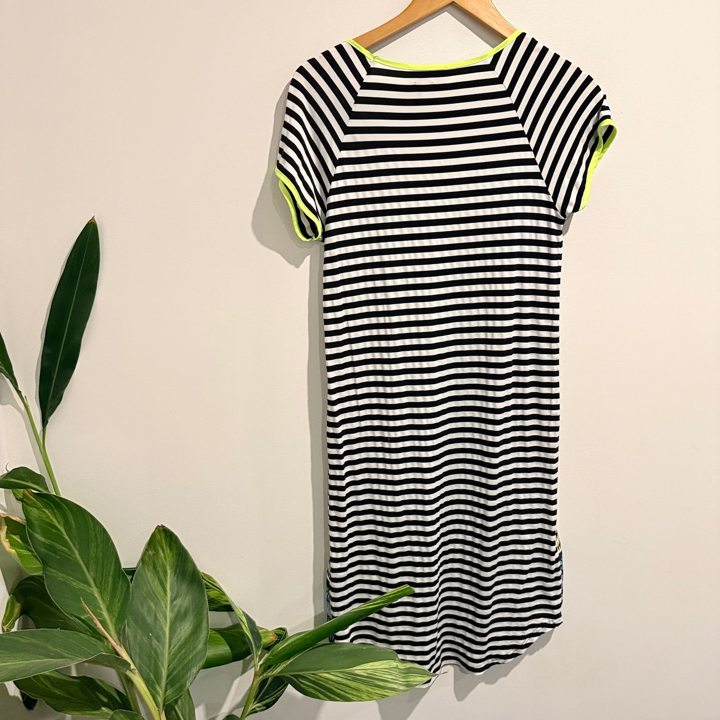 Charlo Size 6 Short-Sleeved V-Neck Shift Dress