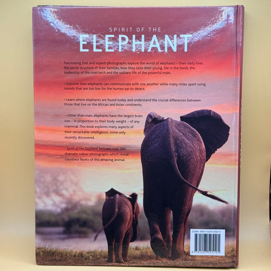 Spirit of the Elephant by Gill Davies