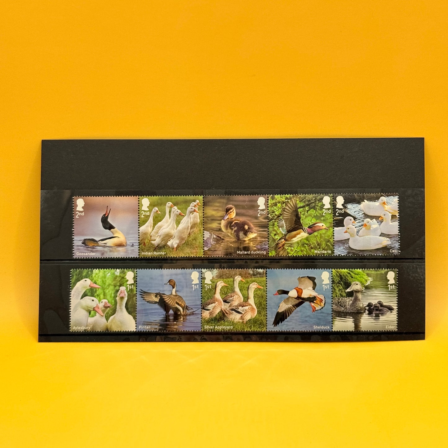 Royal Mail Ducks Wildlife Stamp Set