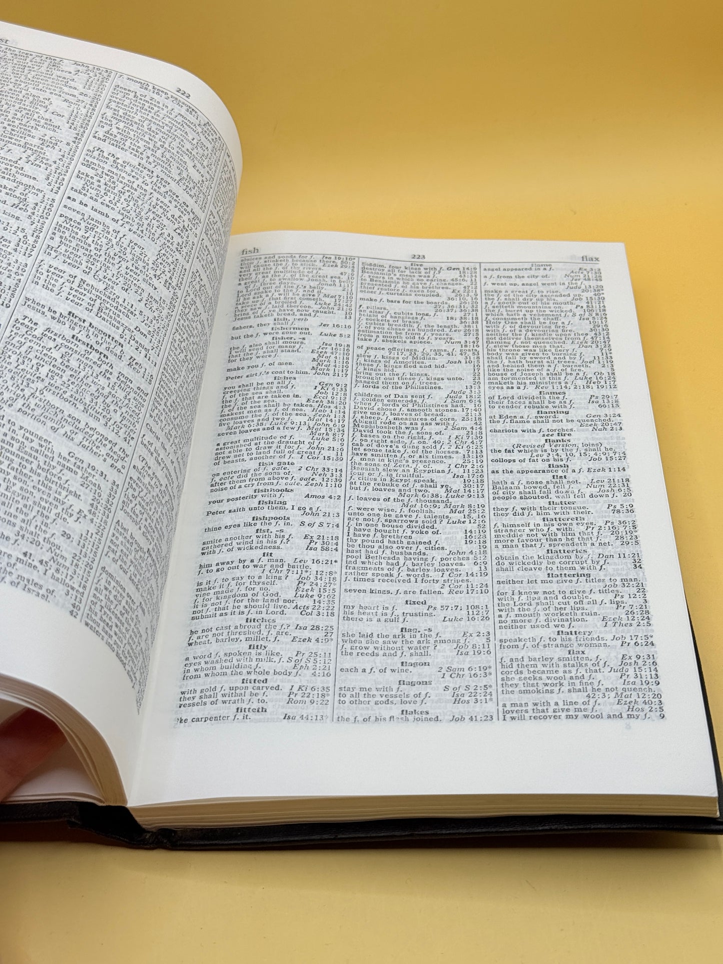 Cruden’s Complete Concordance to the Old and New Testaments by Alexander Cruden (1977)