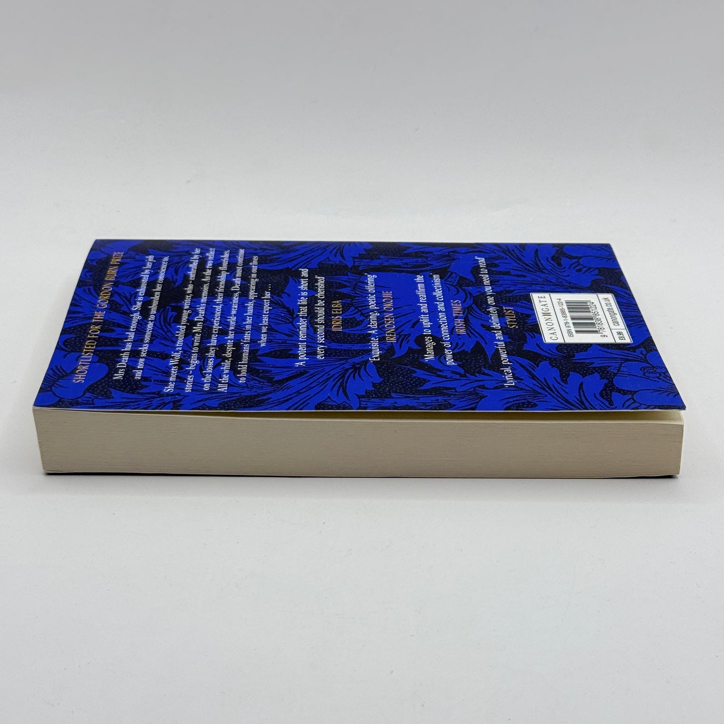 Mrs Death Misses Death by Salena Godden