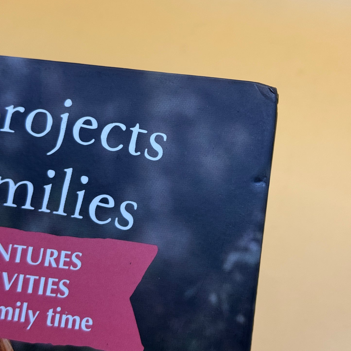 Wild Projects for Families by Brooke Davis
