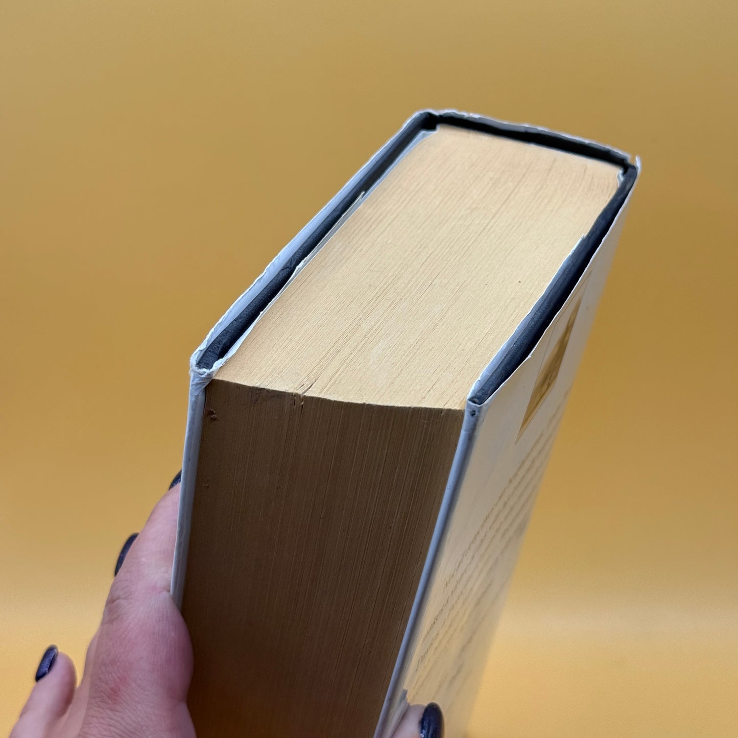 The Complete Dangerous Davies by Leslie Thomas