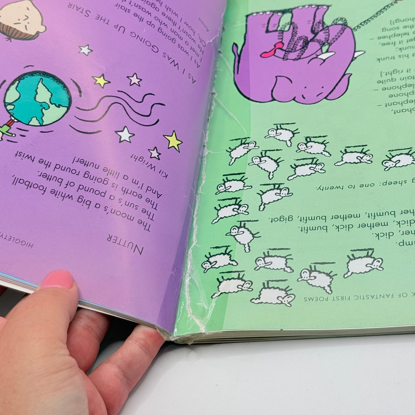 The Puffin Book of Fantastic First Poems by June Crebbin