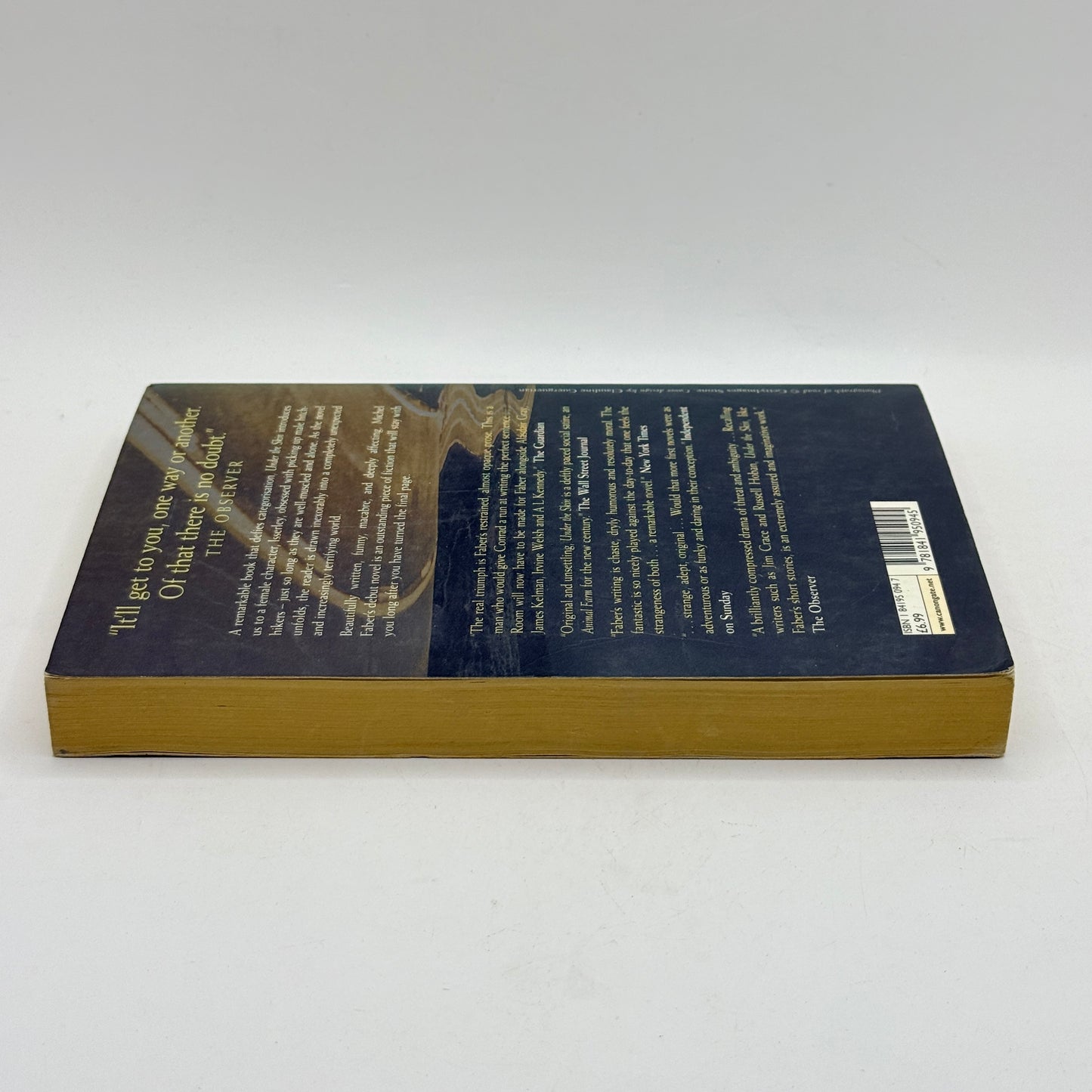 Under the Skin by Michel Faber