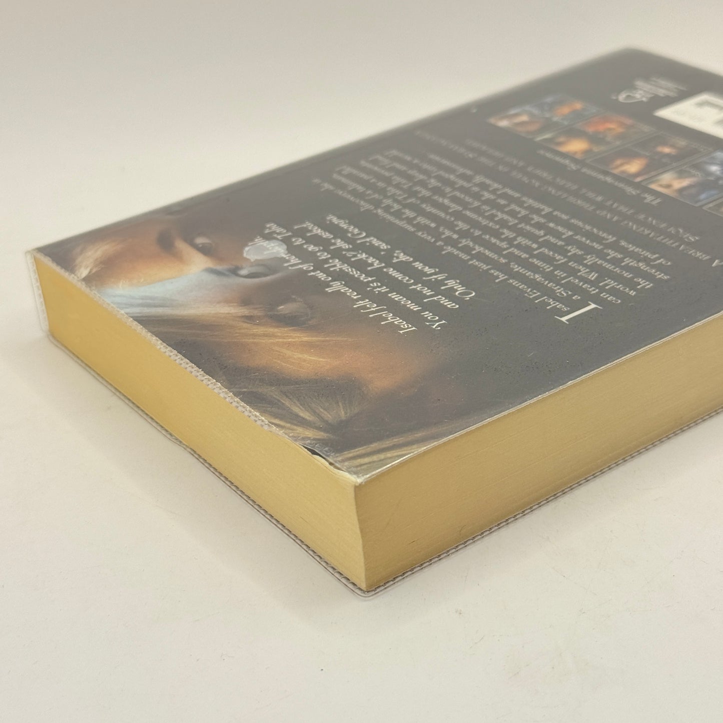 Stravaganza: City of Ships by Mary Hoffman